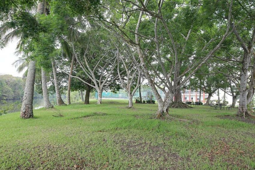 Hotel Plaza Palmas Tuxpan  Buitenkant foto